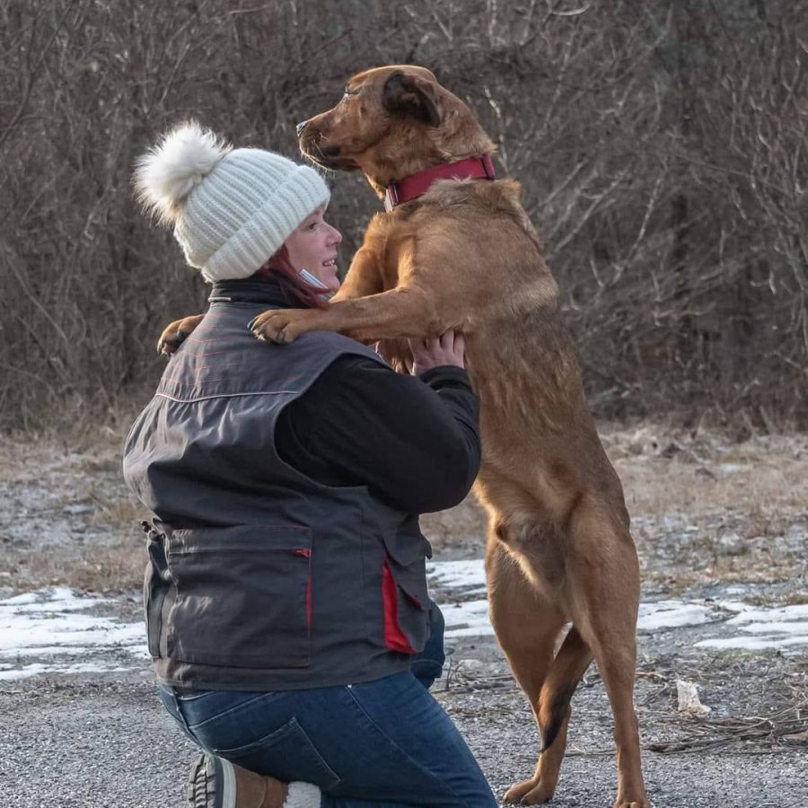 Esthetik'Wouaf, toilettage pour chien à Landry et Bourg Saint Maurice